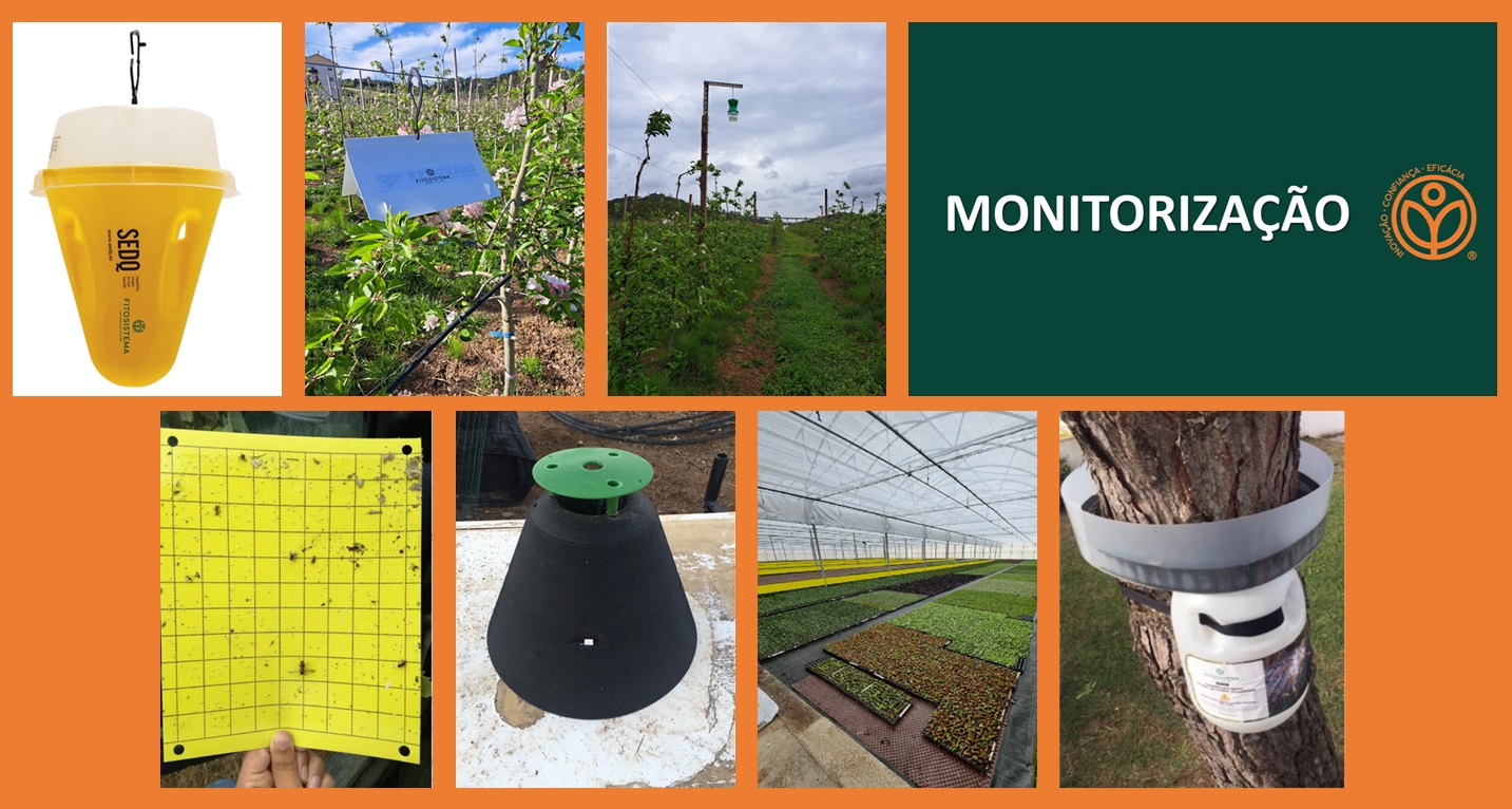 FITOSISTEMA - Monitorização de Pragas